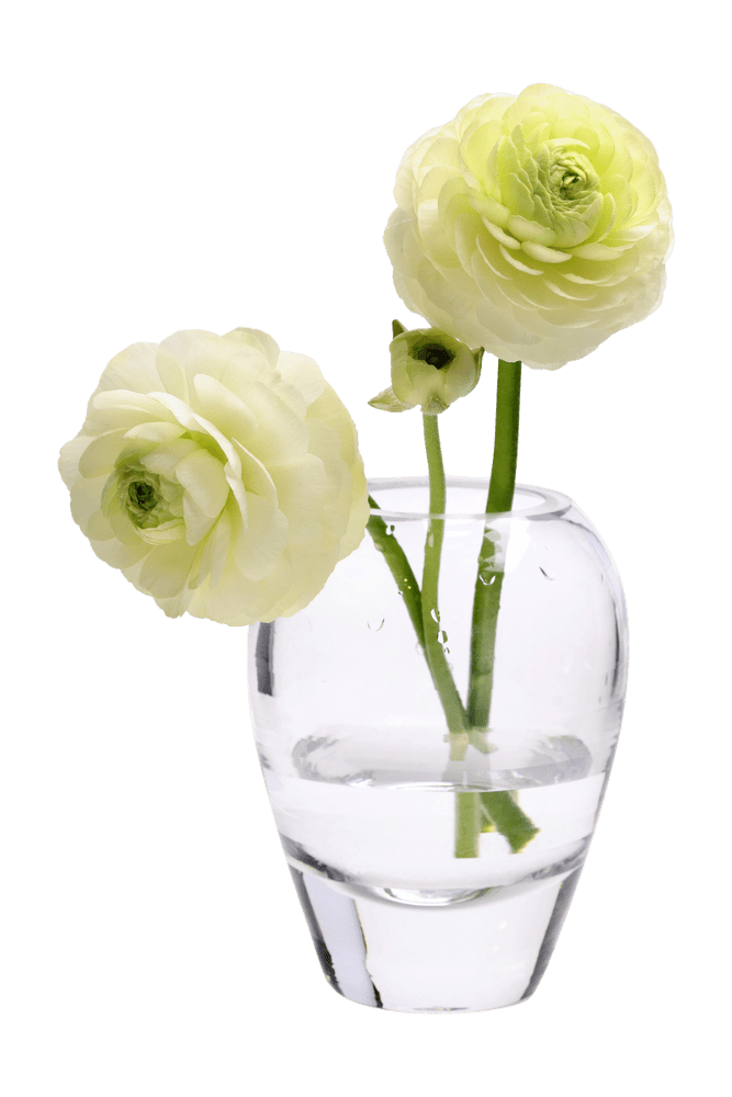George Glass Clear Bud Vase For Flowers - Chive Ceramics Studio - Vases - Chive US