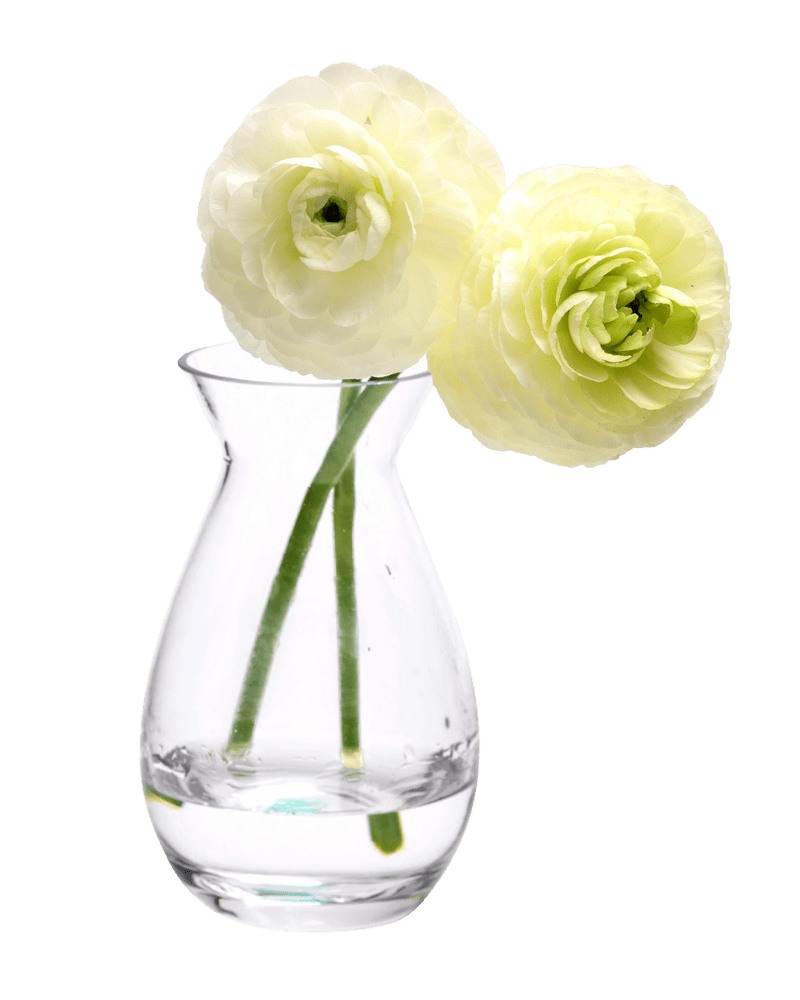 George Glass Clear Bud Vase For Flowers - Chive Studio