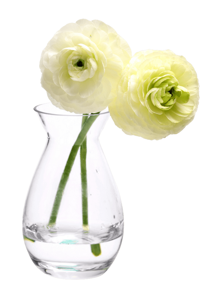 George Glass Clear Bud Vase For Flowers - Chive Ceramics Studio - Vases - Chive US