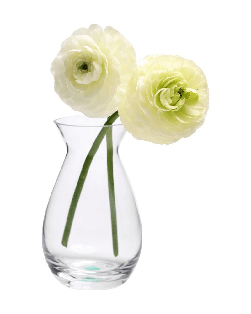 George Glass Clear Bud Vase For Flowers - Chive Studio