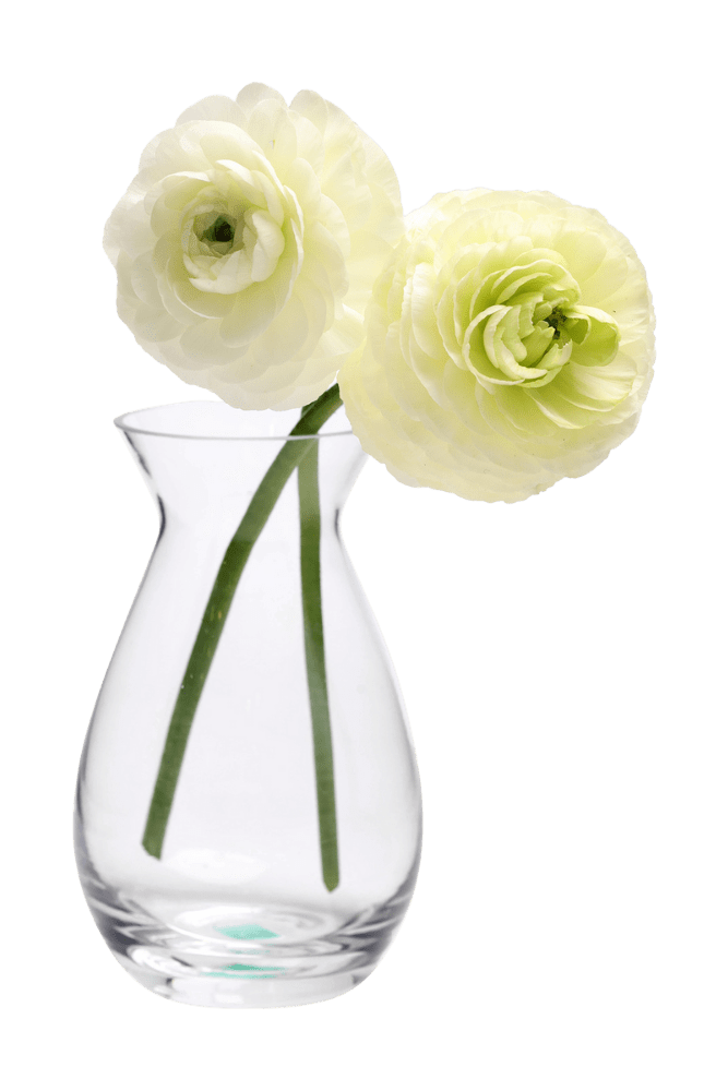 George Glass Clear Bud Vase For Flowers - Chive Ceramics Studio - Vases - Chive US