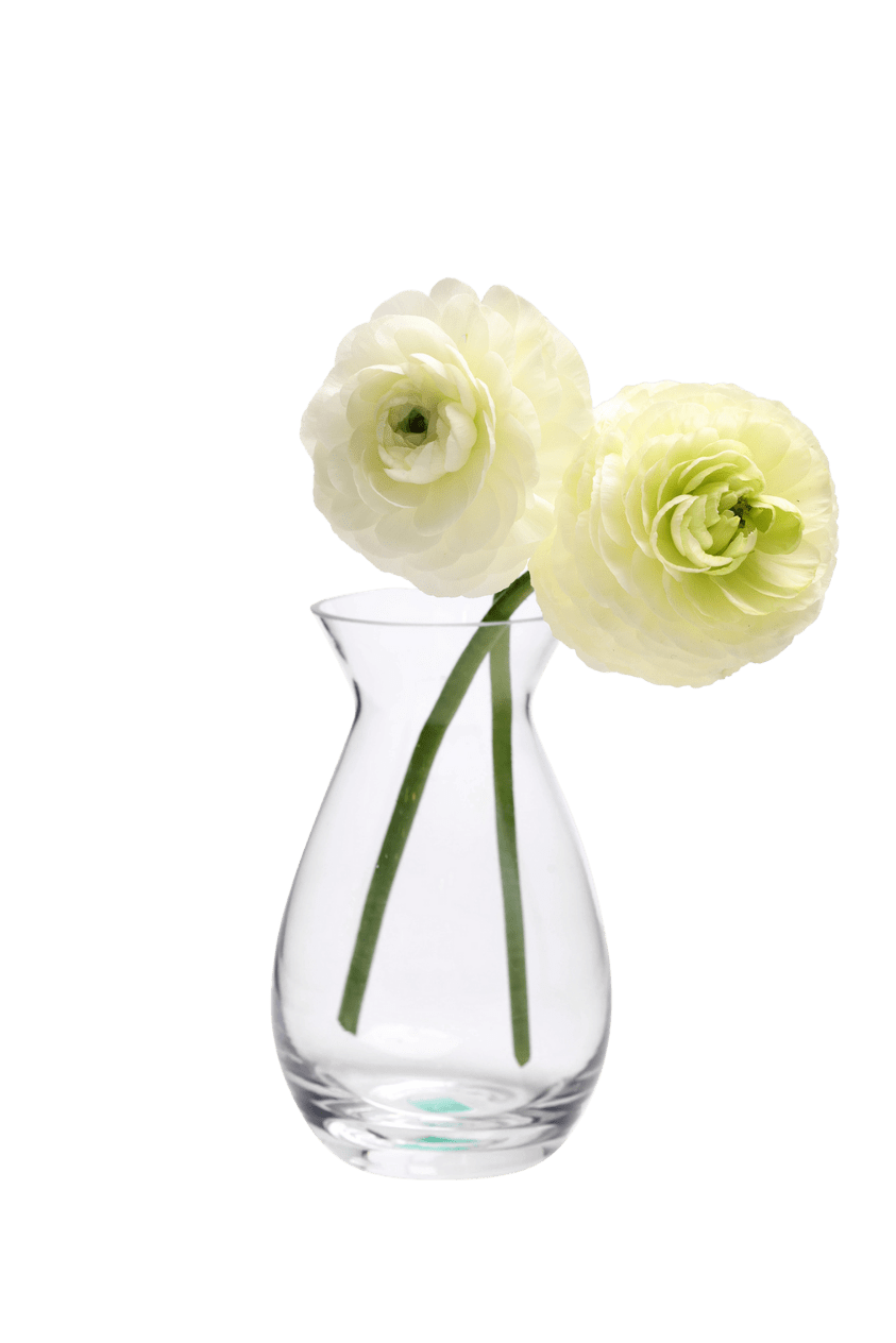 George Glass Clear Bud Vase For Flowers - Chive Ceramics Studio - Vases - Chive US