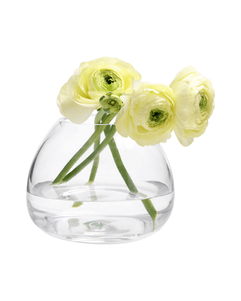 A clear glass bud vase with three flowers in it | Chive