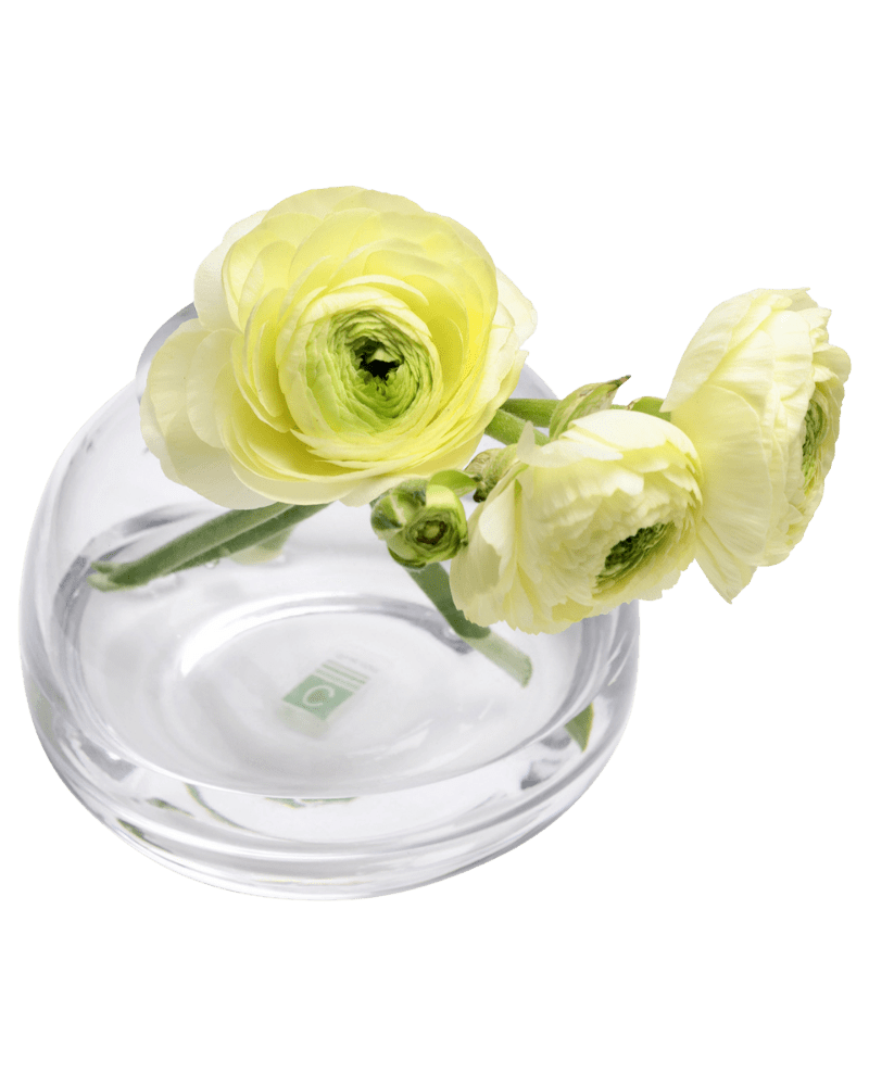 George Glass Clear Bud Vase For Flowers - Chive Studio
