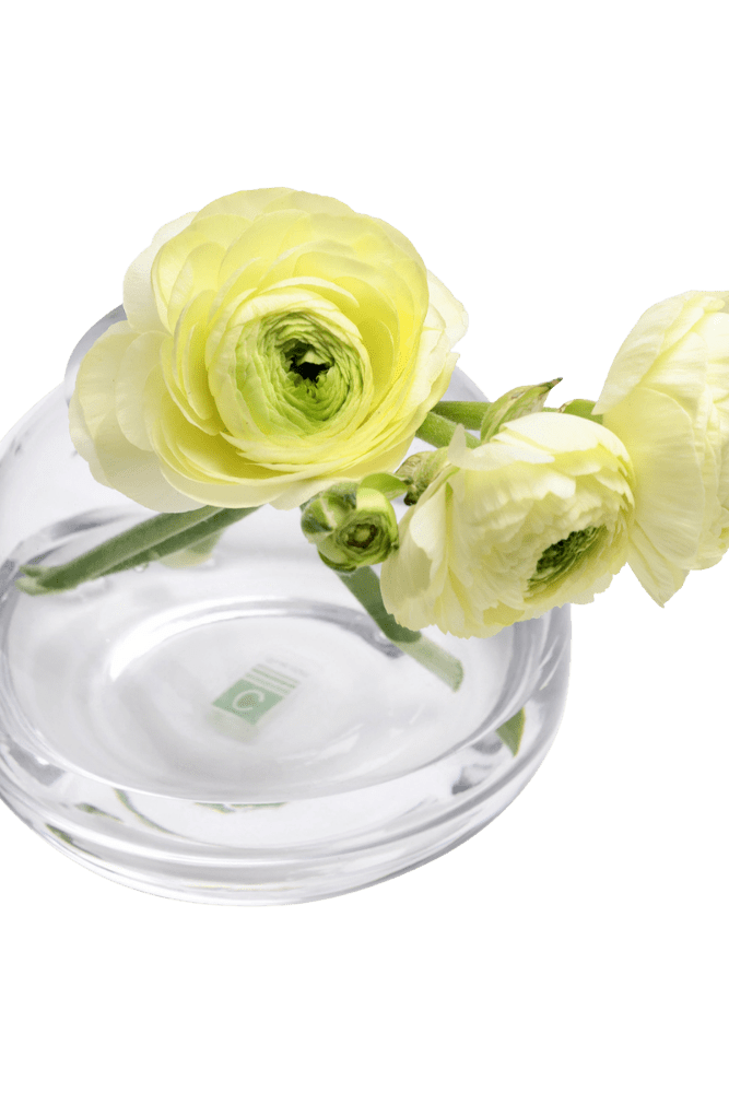 George Glass Clear Bud Vase For Flowers - Chive Ceramics Studio - Vases - Chive US