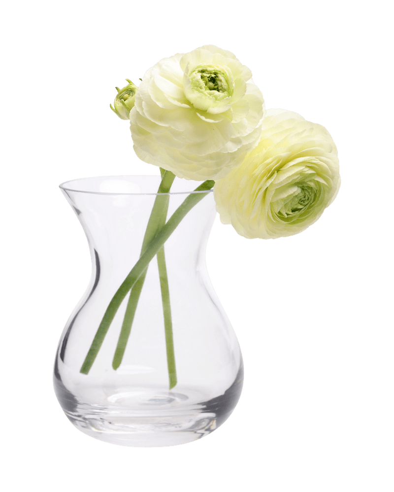 George Glass Clear Bud Vase For Flowers - Chive
