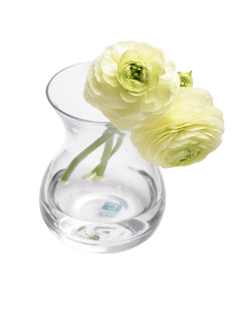 George Glass Clear Bud Vase For Flowers - Chive