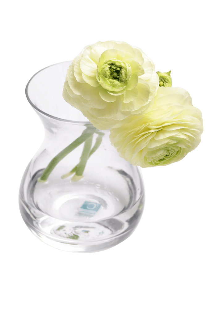 George Glass Clear Bud Vase For Flowers - Chive Ceramics Studio - Vases - Chive US