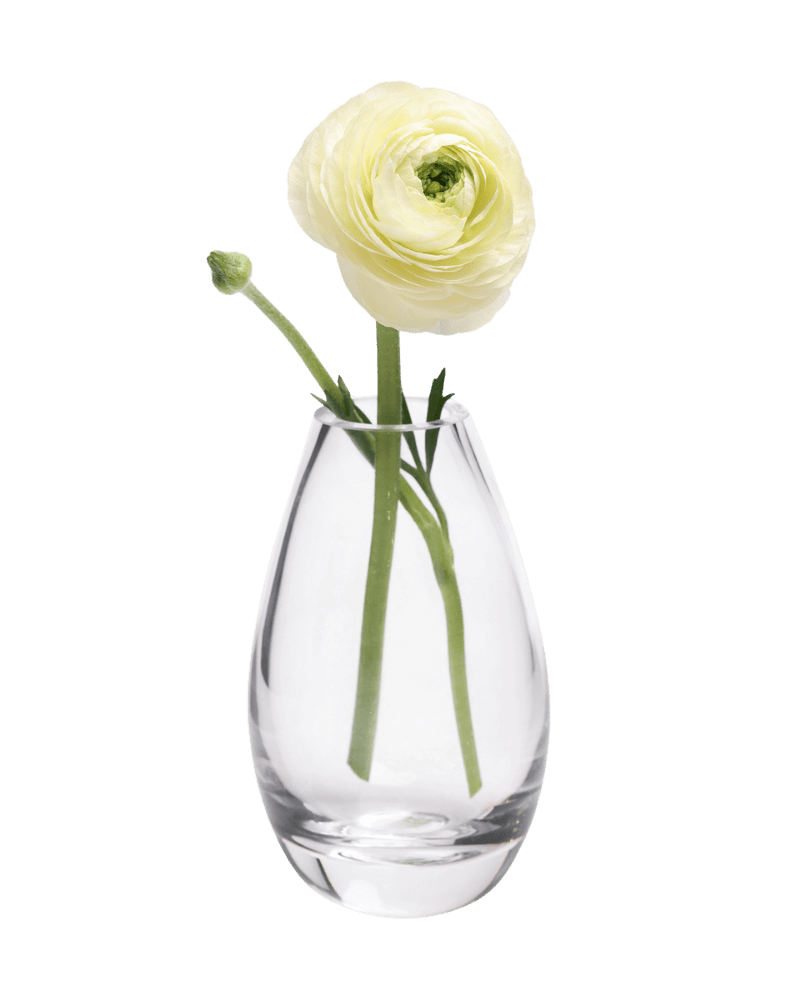 George Glass Clear Bud Vase For Flowers - Chive