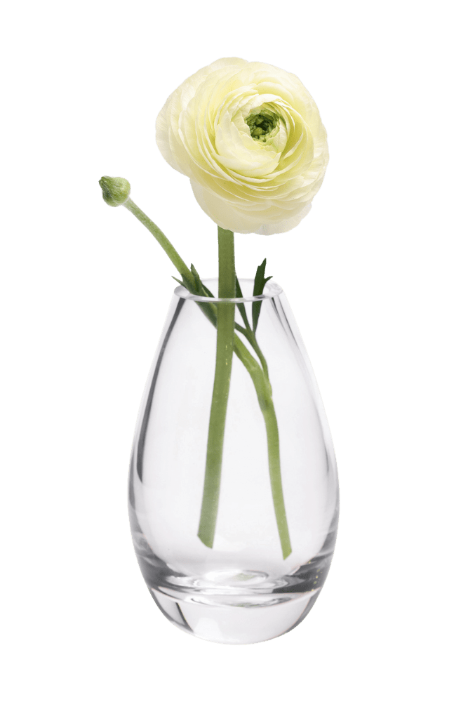 George Glass Clear Bud Vase For Flowers - Chive Ceramics Studio - Vases - Chive US
