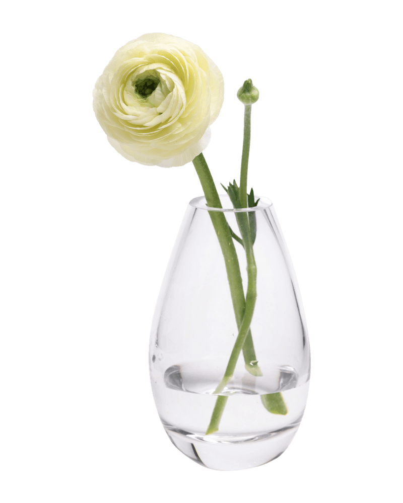 George Glass Clear Bud Vase For Flowers - Chive