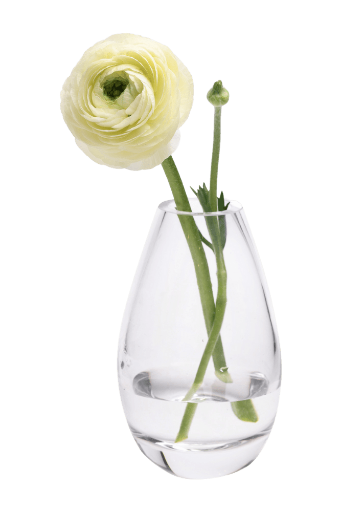 George Glass Clear Bud Vase For Flowers - Chive Ceramics Studio - Vases - Chive US