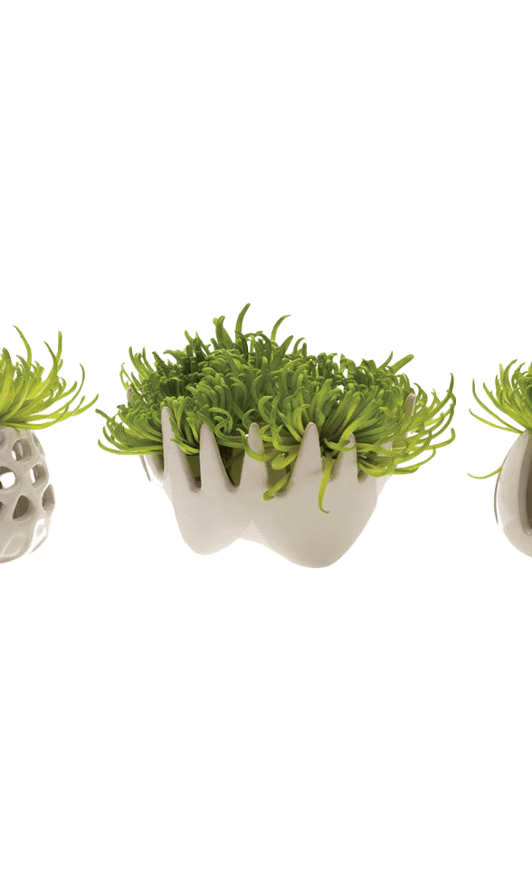 Gideon Ceramic Air Plant Container - Chive Ceramics Studio - Tools & Accessories - Chive Ceramics Studio