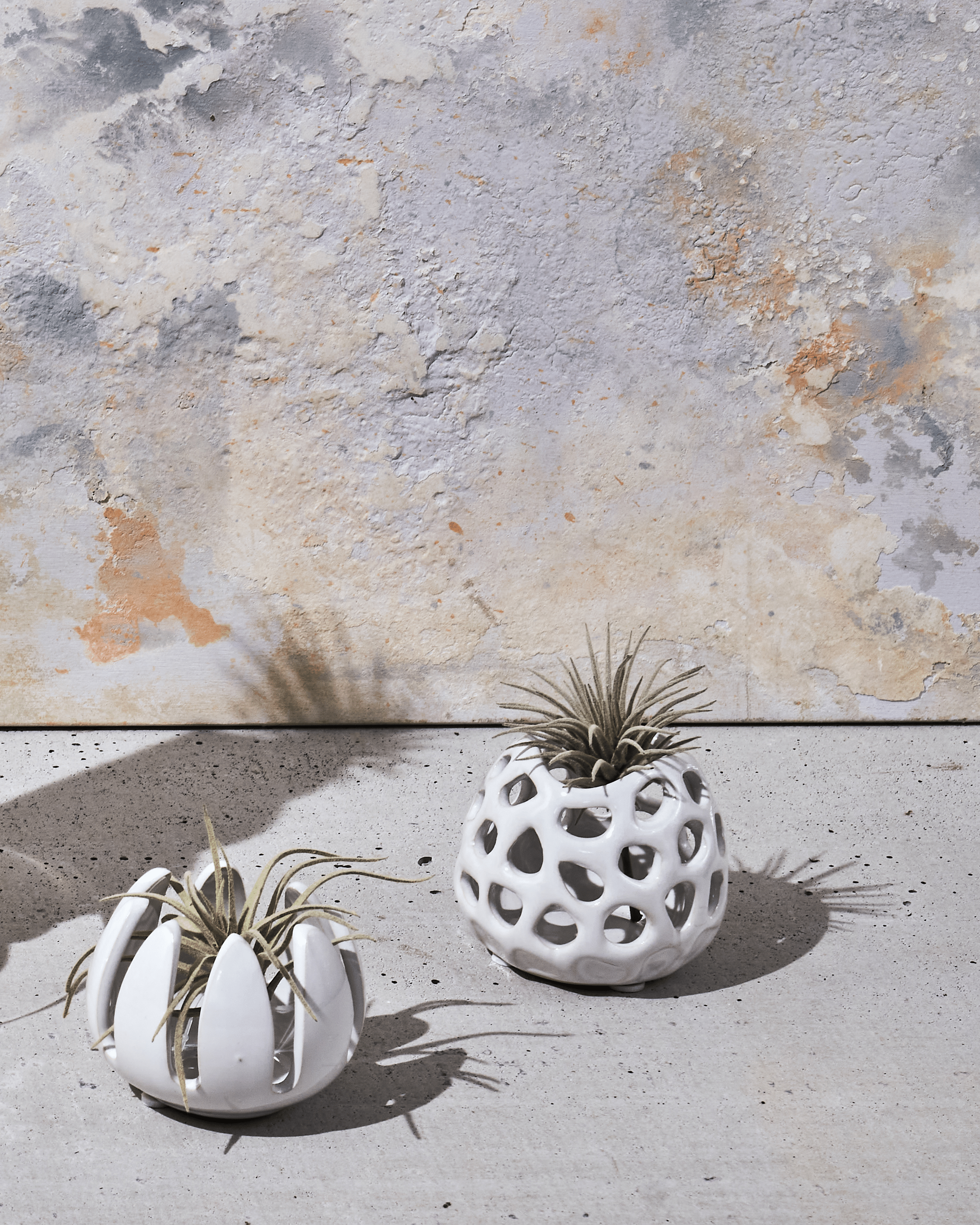Gideon Ceramic Air Plant Container - Chive Ceramics Studio - Tools & Accessories - Chive Ceramics Studio