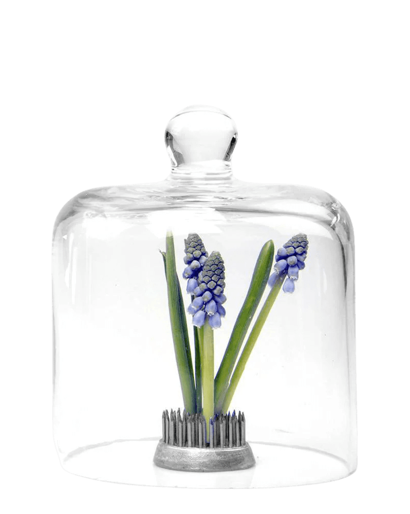 Gip Glass Cloche - Chive Ceramics Studio - Tools & Accessories - Chive US