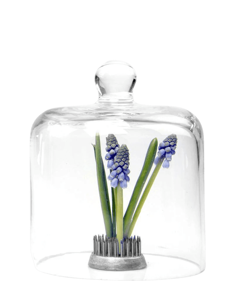 Gip Glass Cloche - Chive Ceramics Studio - Tools & Accessories - Chive US