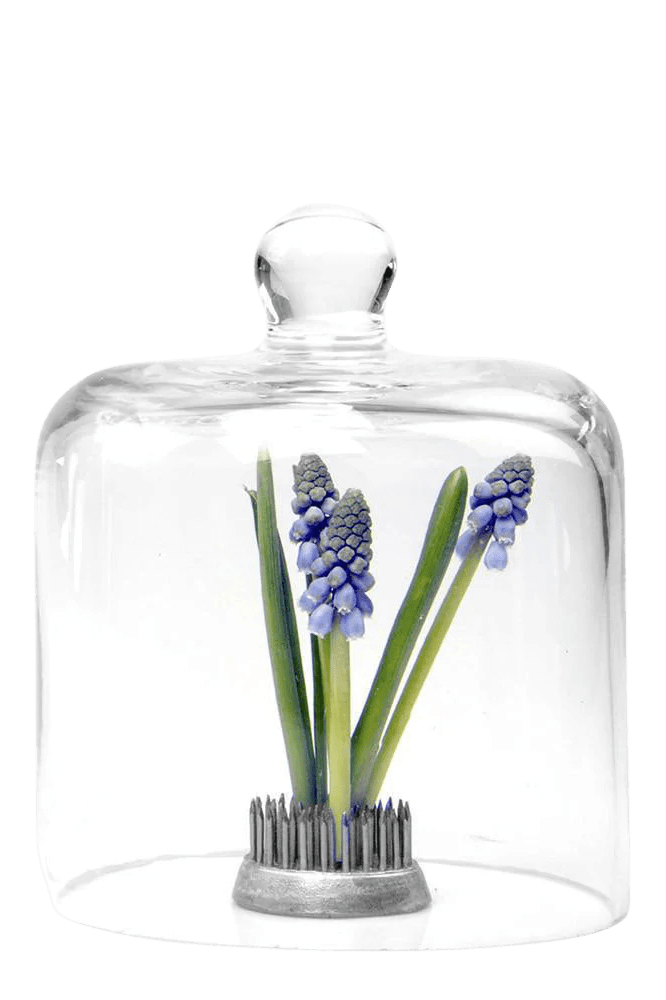 Gip Glass Cloche - Chive Ceramics Studio - Tools & Accessories - Chive US