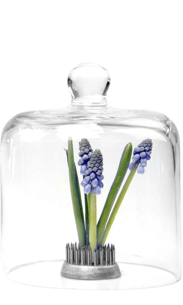 Gip Glass Cloche - Chive Ceramics Studio - Tools & Accessories - Chive US
