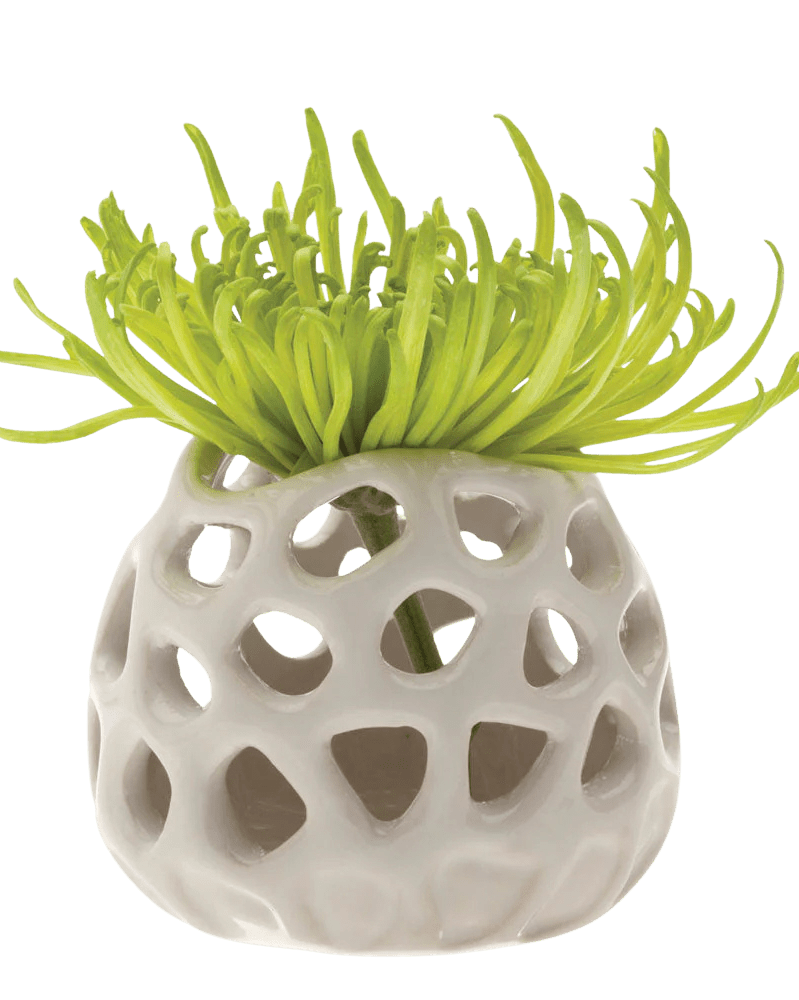 Gideon Ceramic Air Plant Container - Chive Ceramics Studio - Tools & Accessories - Chive Ceramics Studio