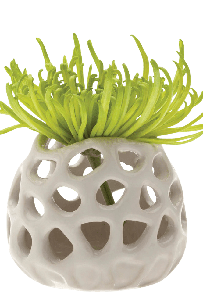 Gideon Ceramic Air Plant Container - Chive Ceramics Studio - Tools & Accessories - Chive Ceramics Studio