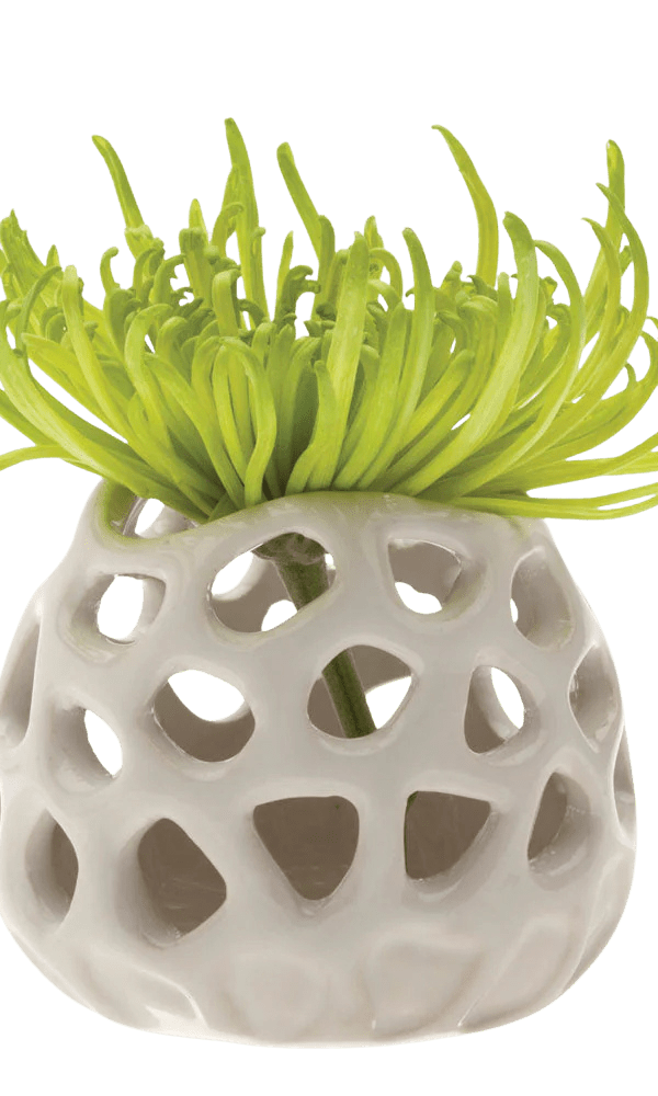 Gideon Ceramic Air Plant Container - Chive Ceramics Studio - Tools & Accessories - Chive Ceramics Studio
