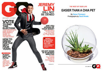 GQ US magazine editorial featuring Chive Studio Tabletop Terrarium — Easier Than a Chia Pet