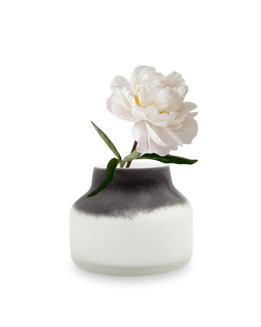 Groak Glass Modern Flower Vase - Chive Ceramics Studio - Vases - Chive US