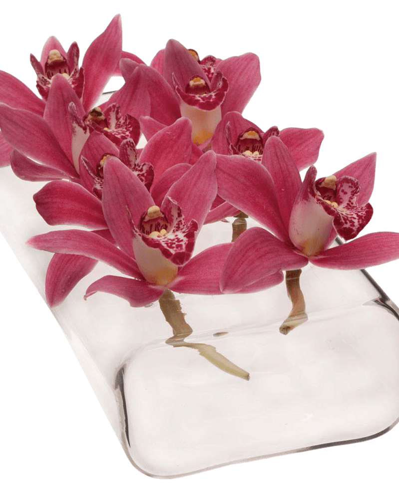 Rectangle Flute Glass Modern Clear Flower Vase - Chive Ceramics Studio - Vases - Chive Ceramics Studio