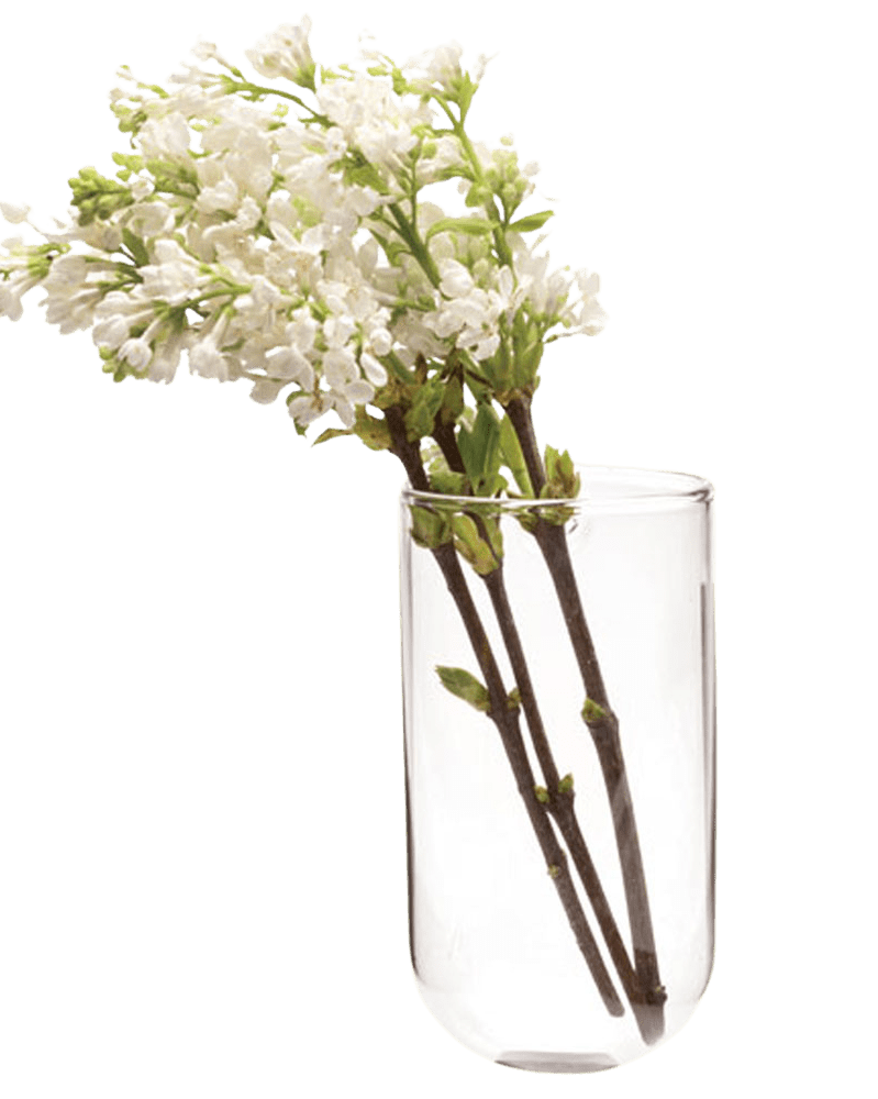 Wall Cup Glass Modern Clear Flower Vase - Chive Ceramics Studio - Vases - Chive Ceramics Studio