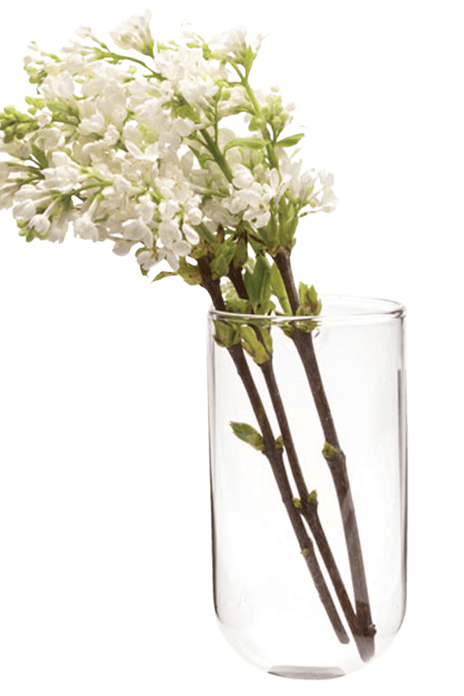 Wall Cup Glass Modern Clear Flower Vase - Chive Ceramics Studio - Vases - Chive Ceramics Studio