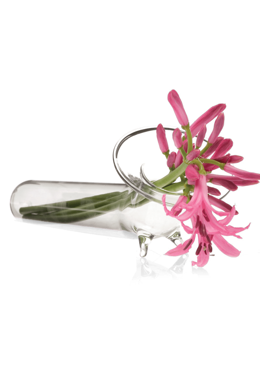 Test Tube Glass Modern Clear Flower Vase - Chive Ceramics Studio - Vases - Chive US