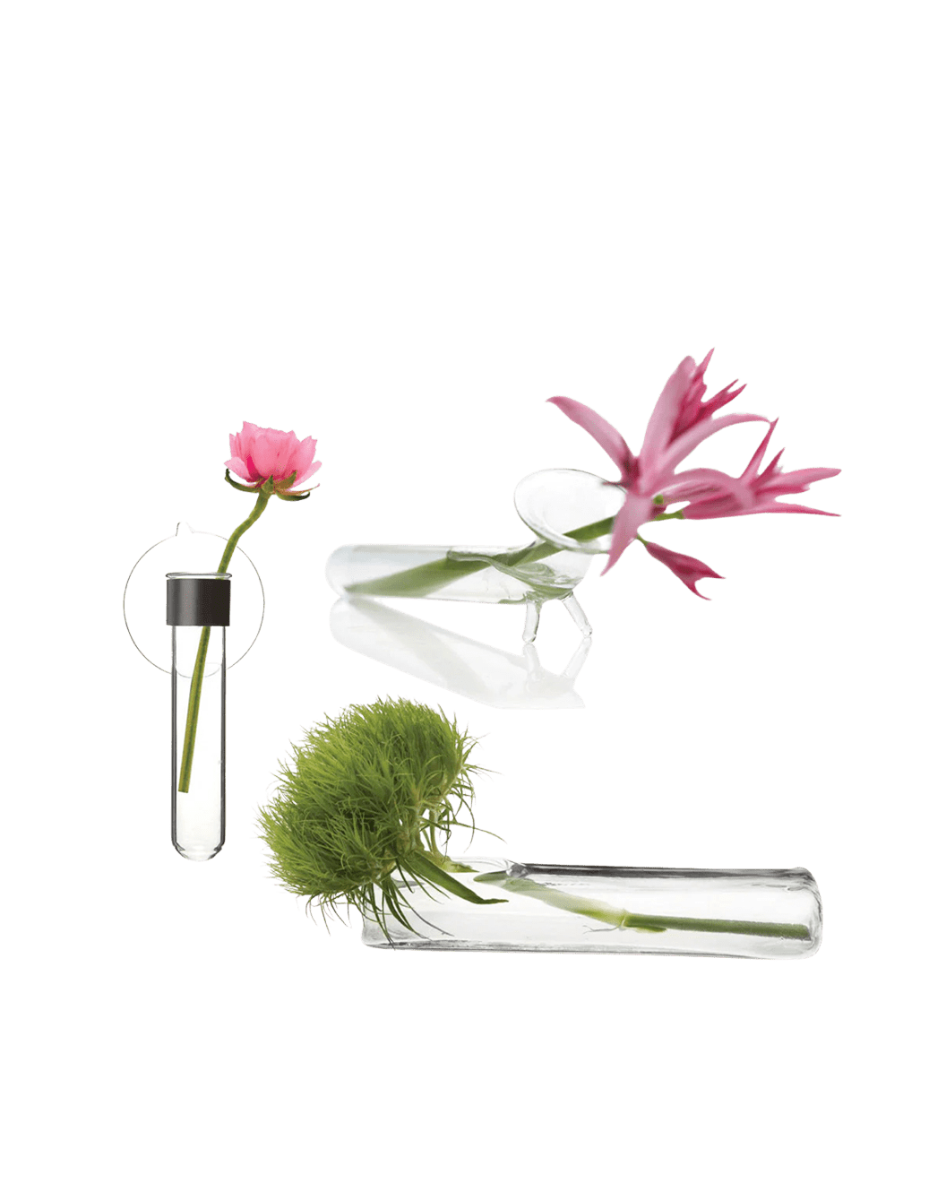 Test Tube Glass Modern Clear Flower Vase - Chive Ceramics Studio - Vases - Chive US