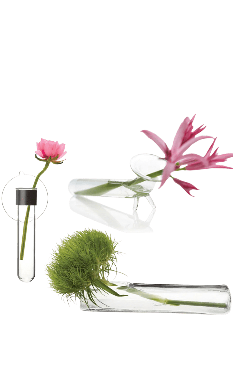 Test Tube Glass Modern Clear Flower Vase - Chive Ceramics Studio - Vases - Chive US
