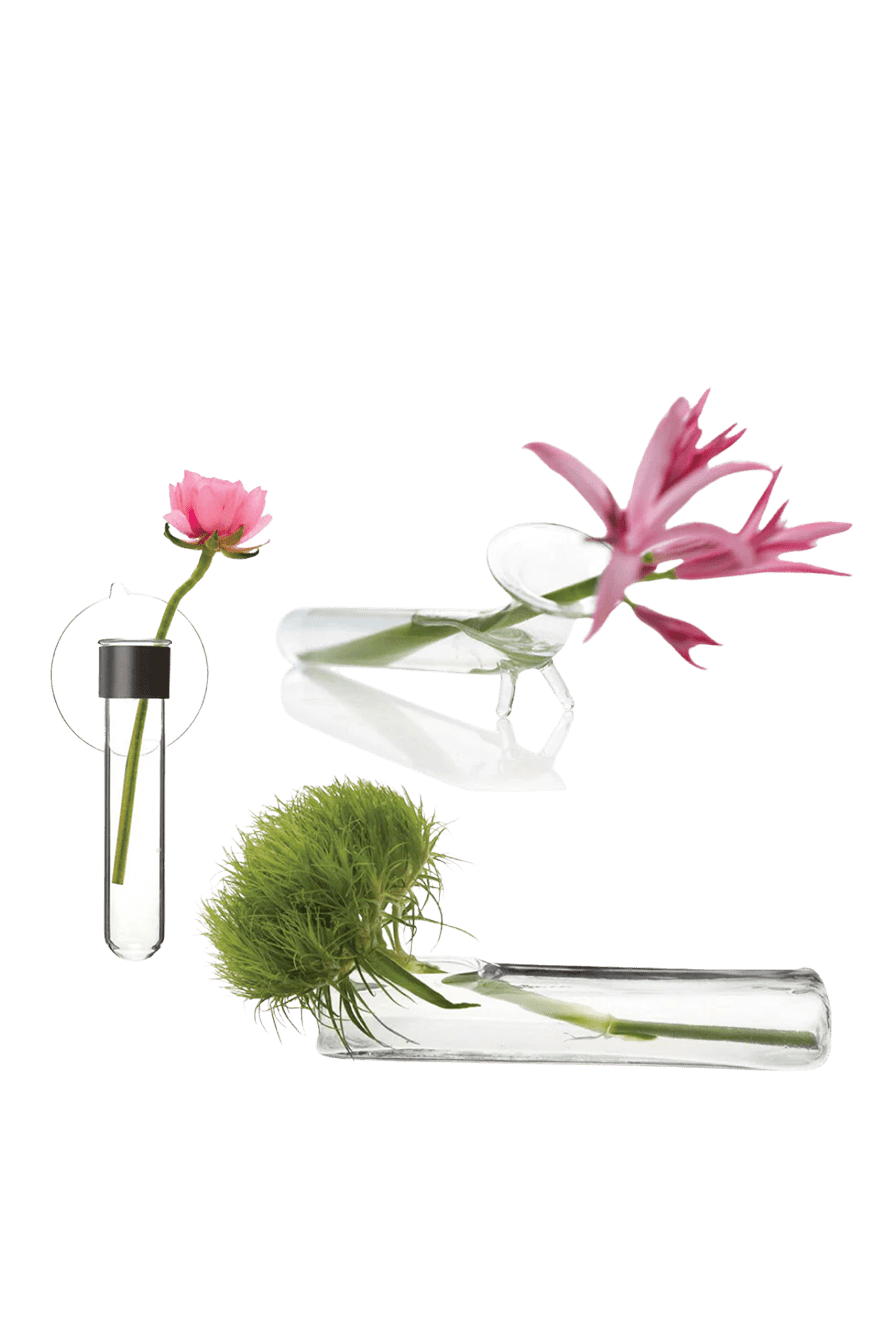 Test Tube Glass Modern Clear Flower Vase - Chive Ceramics Studio - Vases - Chive US