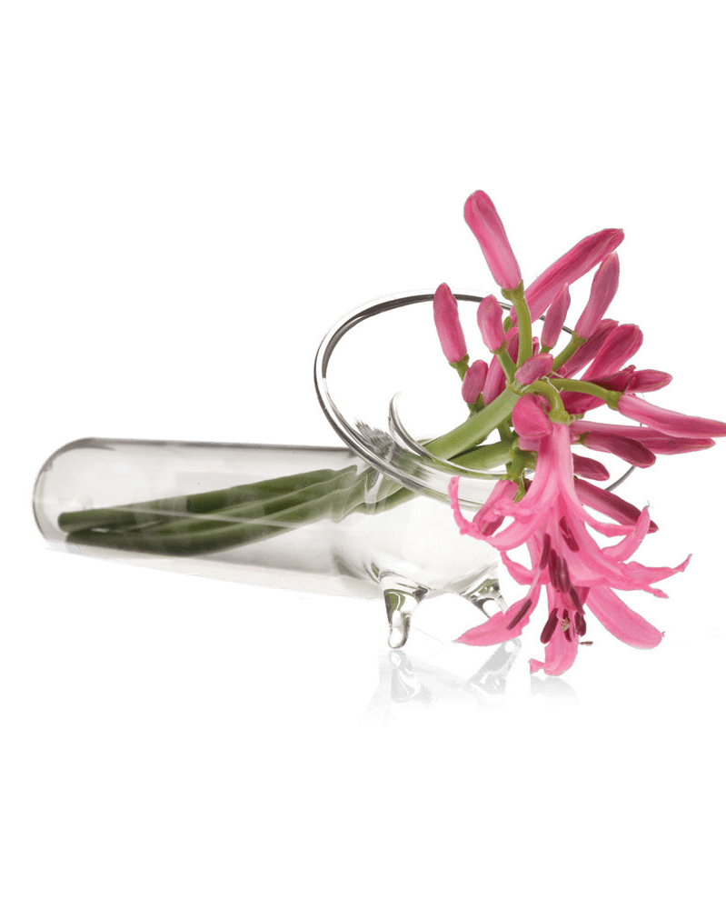 Test Tube Glass Modern Clear Flower Vase - Chive Ceramics Studio - Vases - Chive US