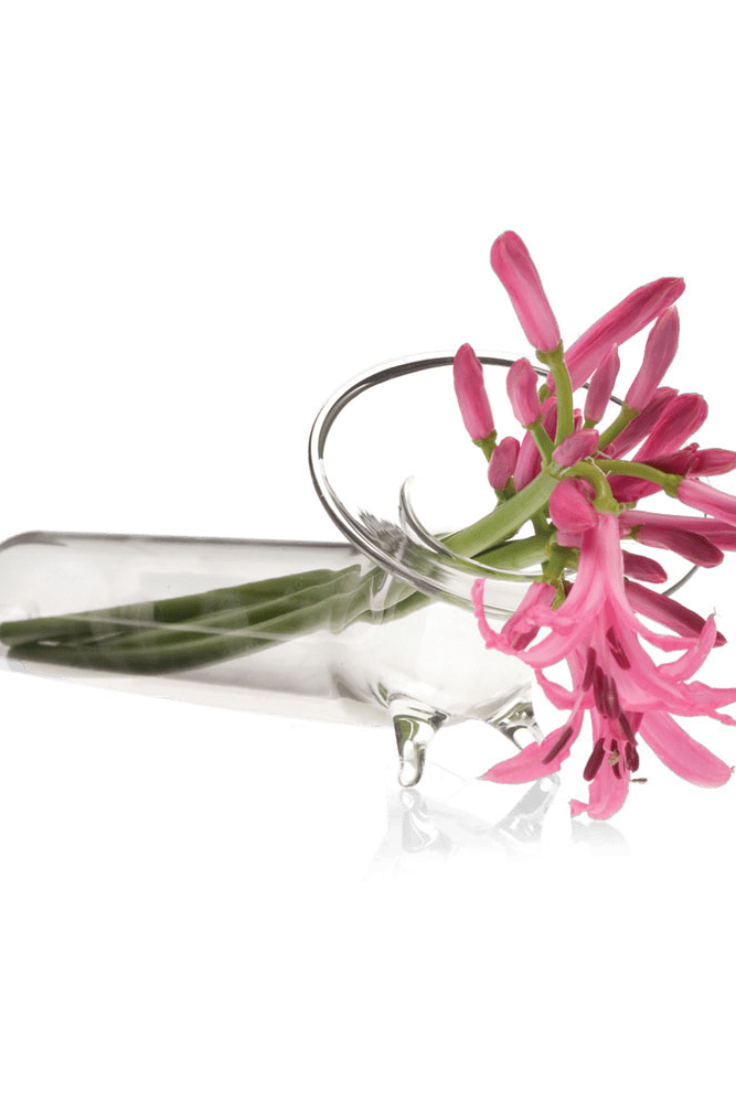 Test Tube Glass Modern Clear Flower Vase - Chive Ceramics Studio - Vases - Chive US