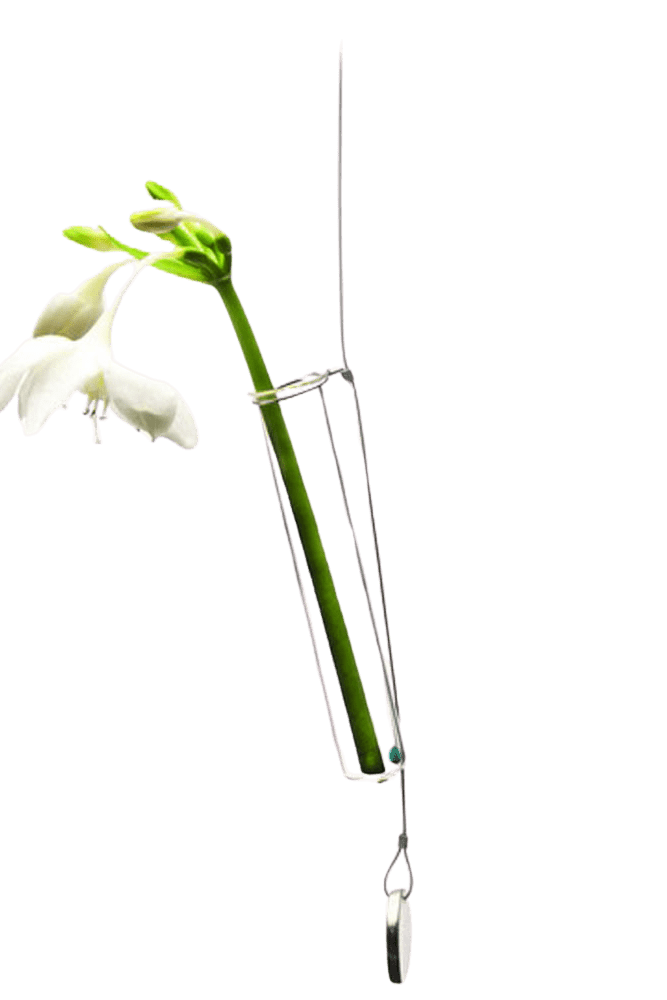 Bolbo Hanging Glass Modern Clear Flower Vase - Chive Ceramics Studio - Vases - Chive US