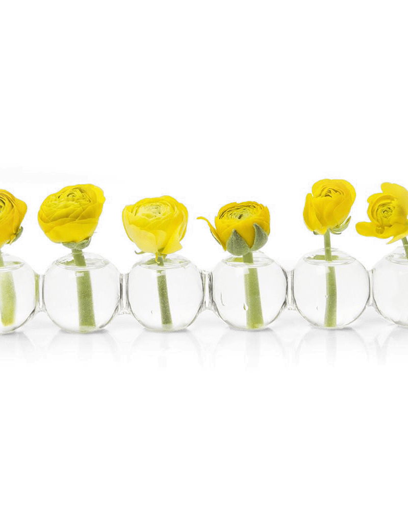 Caterpillar Glass Modern Clear Flower Vase - Chive Ceramics Studio - Vases - Chive Ceramics Studio
