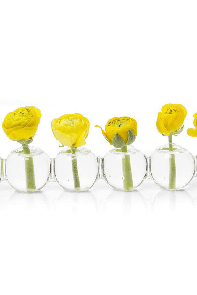 Caterpillar Glass Modern Clear Flower Vase - Chive Ceramics Studio - Vases - Chive Ceramics Studio