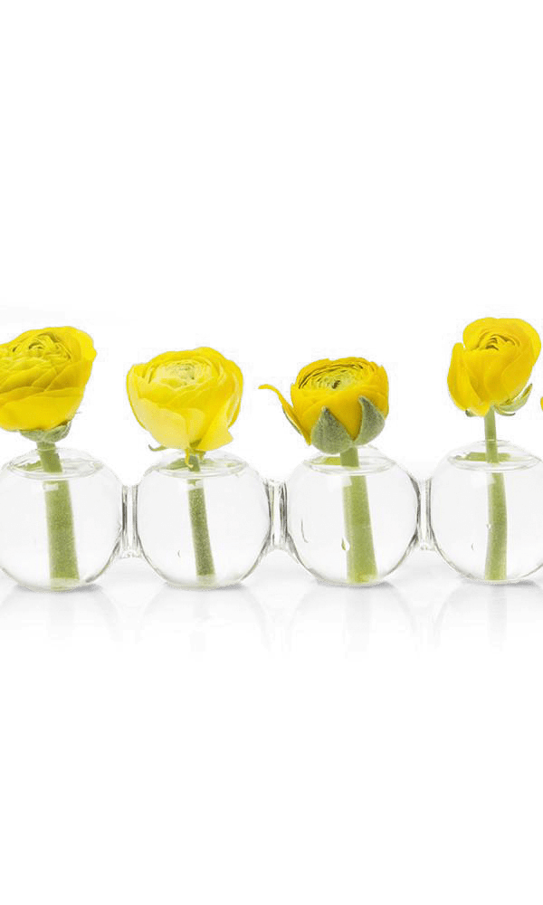 Caterpillar Glass Modern Clear Flower Vase - Chive Ceramics Studio - Vases - Chive Ceramics Studio