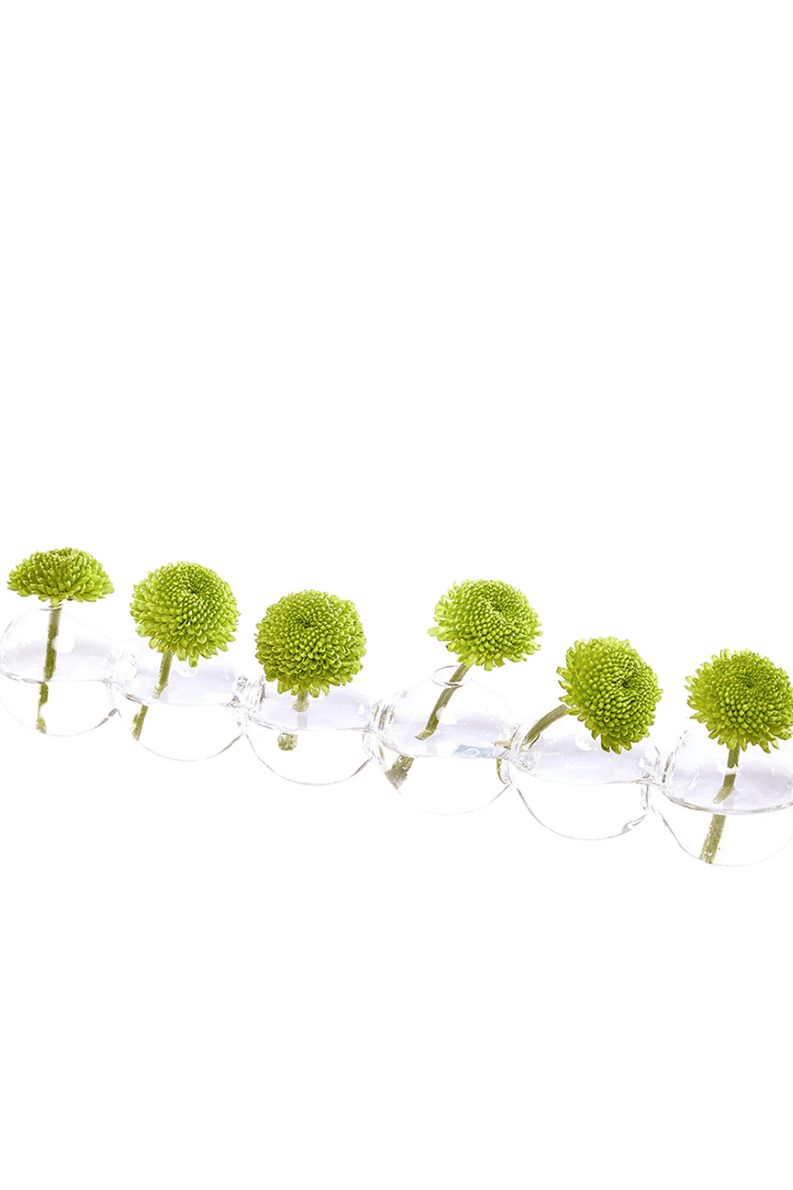 Caterpillar Glass Modern Clear Flower Vase - Chive Ceramics Studio - Vases - Chive Ceramics Studio