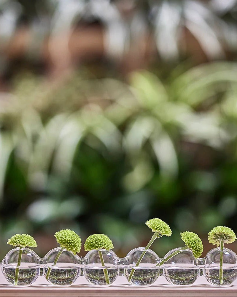 Caterpillar Glass Modern Clear Flower Vase - Chive Ceramics Studio - Vases - Chive Ceramics Studio