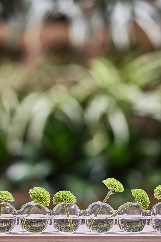 Caterpillar Glass Modern Clear Flower Vase - Chive Ceramics Studio - Vases - Chive Ceramics Studio