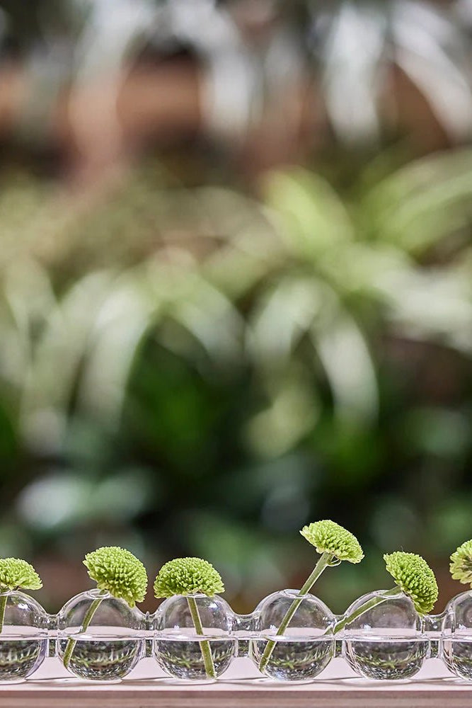Caterpillar Glass Modern Clear Flower Vase - Chive Ceramics Studio - Vases - Chive Ceramics Studio