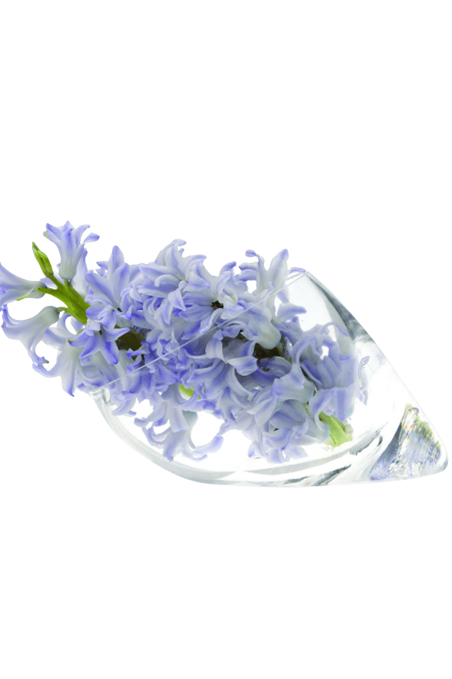 Lot Glass Modern Clear Flower Vase - Chive Ceramics Studio - Vases - Chive US