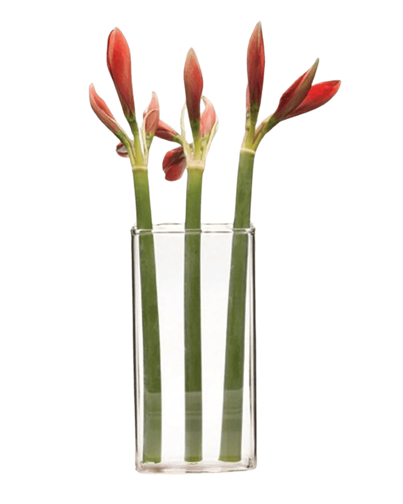 Wall Brick Glass Modern Clear Flower Vase - Chive Ceramics Studio - Vases - Chive Ceramics Studio