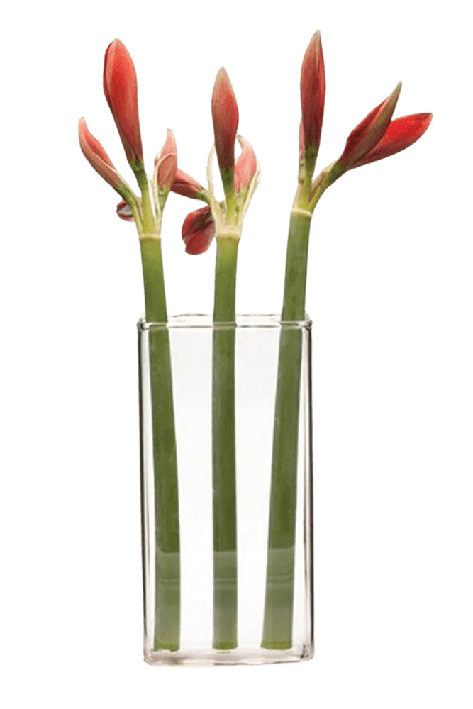 Wall Brick Glass Modern Clear Flower Vase - Chive Ceramics Studio - Vases - Chive Ceramics Studio