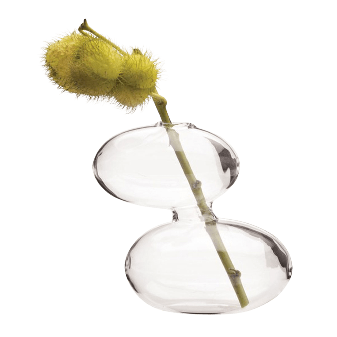 Raygun Glass Modern Clear Flower Vase - Chive Ceramics Studio - Vases - Chive US