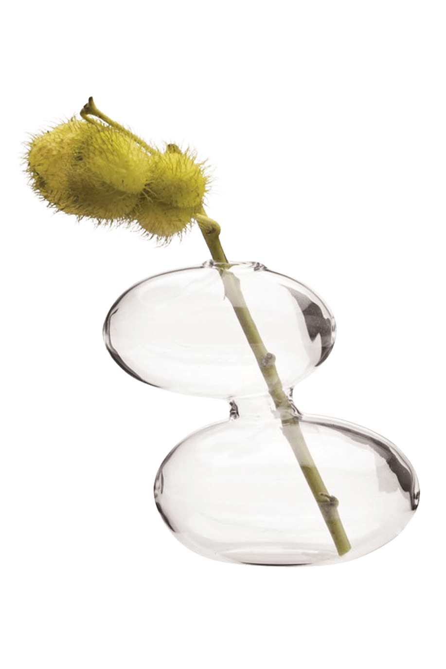 Raygun Glass Modern Clear Flower Vase - Chive Ceramics Studio - Vases - Chive US