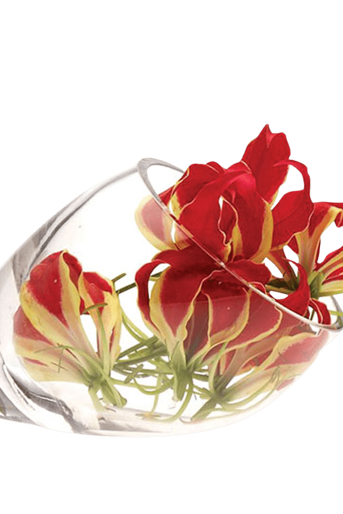 Lot Glass Modern Clear Flower Vase - Chive Ceramics Studio - Vases - Chive US